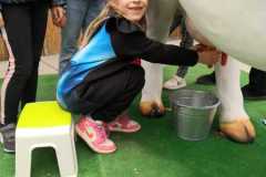 Zdjecie-WhatsApp-2025-05-23-o-12.23.18_b8bb7c88