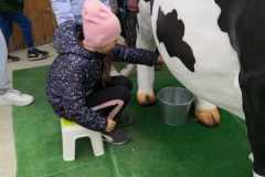 Zdjecie-WhatsApp-2025-05-23-o-12.23.18_d3c5b94f