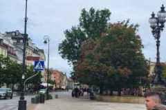 Zdjecie-WhatsApp-2025-06-04-o-12.11.01_a498de92