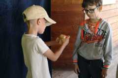 IMG-20240603-WA0146