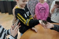 IMG_20230331_082924