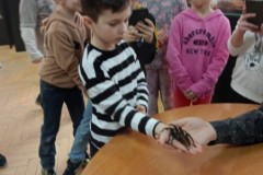 IMG_20230331_082929
