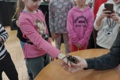 IMG_20230331_082934