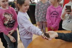 IMG_20230331_082938