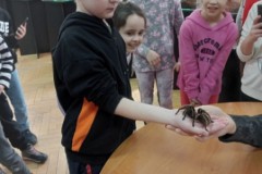 IMG_20230331_082943