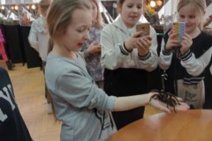 IMG_20230331_082953