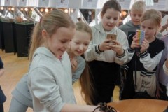 IMG_20230331_082959