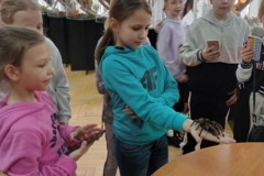 IMG_20230331_083009