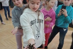 IMG_20230331_083019