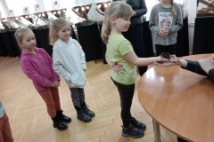 IMG_20230331_083143