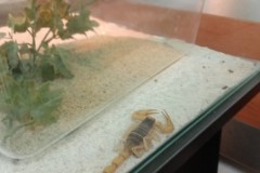 IMG_20230331_083150