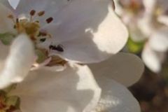 DSCN0015