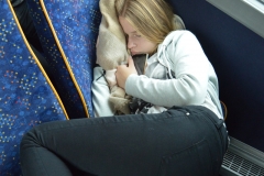 DSCN0003