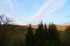 DSCN0088