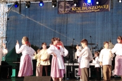lesianiechorzDSCN0002_rs
