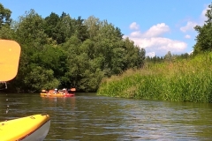 1WP_20180620_11_18_57_Proczlo