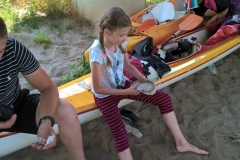1WP_20180620_11_53_49_Proczlo