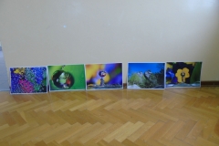 tworcaDSC00074_rs